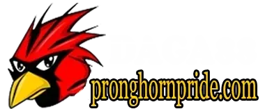 da ga truc tiep